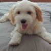 ventas2016
